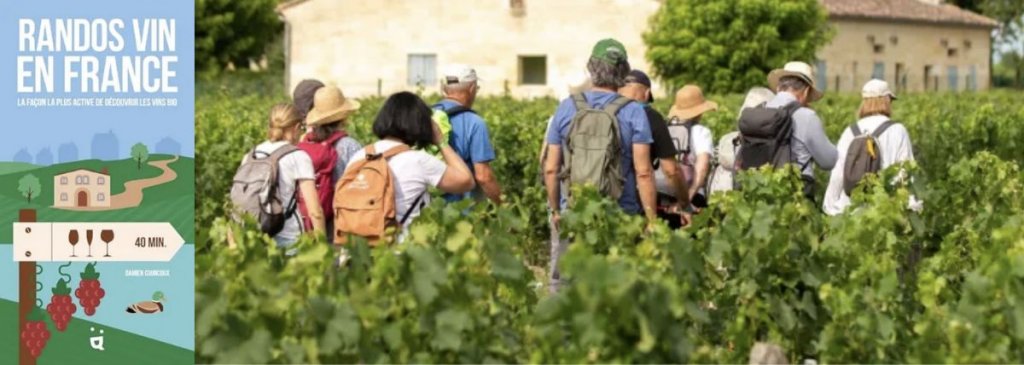 Randonnées œnotouristiques en France : Guide des meilleurs itinéraires à travers les vignobles