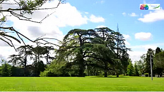 Le CLIP Bienvenue &agrave; BALMA  pens&eacute; et r&eacute;alis&eacute; par l'association Balma31 sur @TvLocale_fr