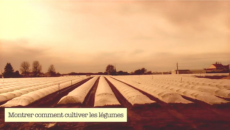 La Ferme de Cheikh Anta : Le projet fou d'Aminata