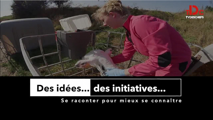 TvDesChefs: Des idées… Des initiatives la production responsable et la mise en valeur des différents labels